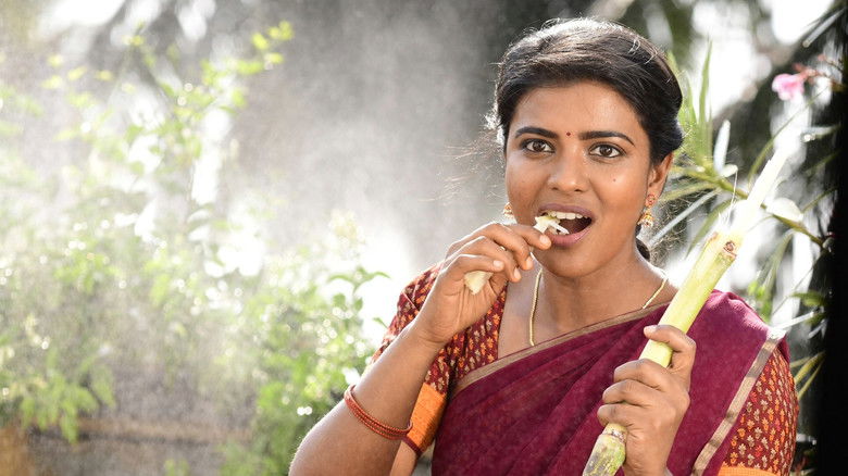 Kousalya Krishnamurthy still 3