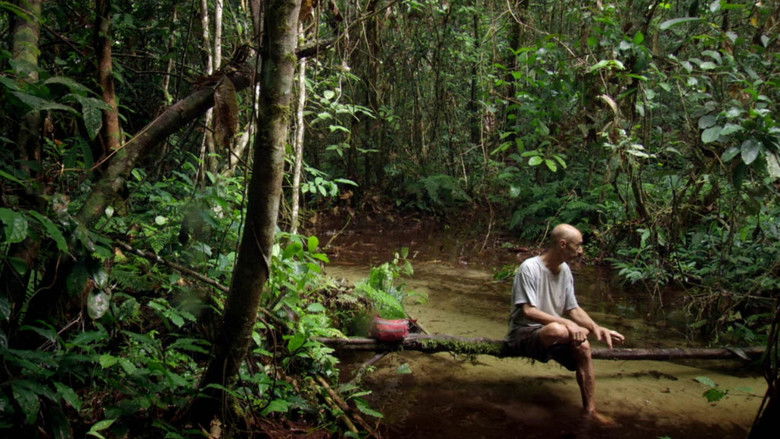 Song from the Forest