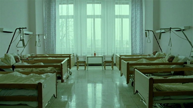 Import/Export still 4