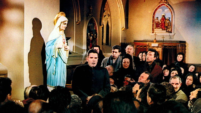 The Cardinal still 3