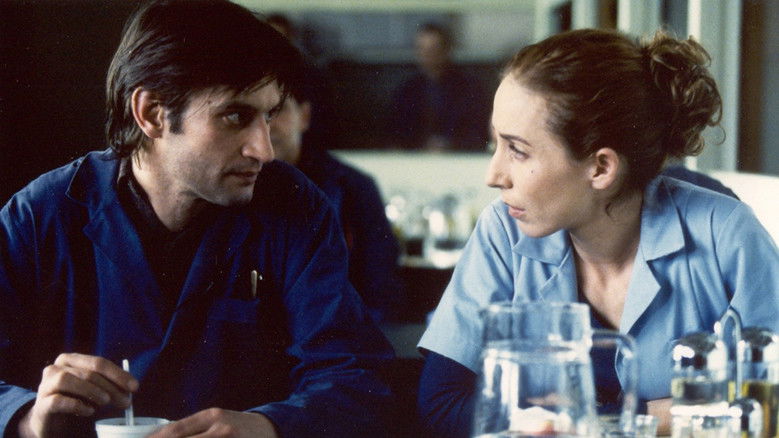 Brucio nel vento still 2