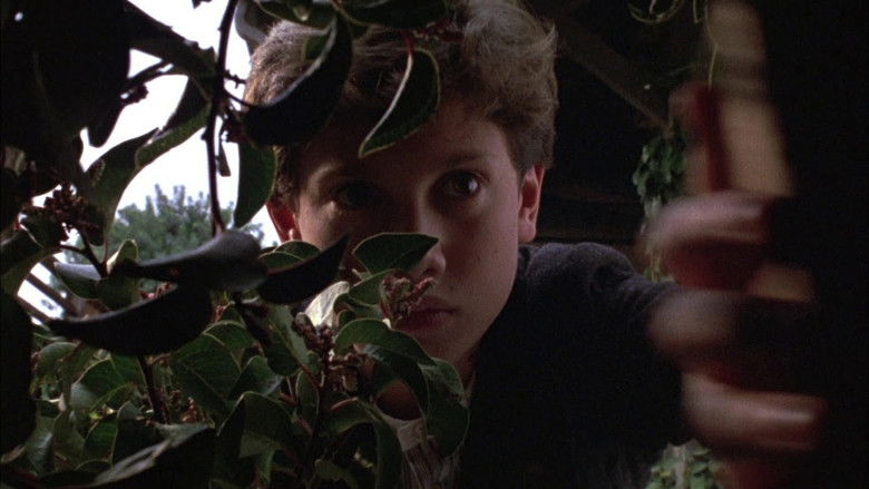 Children of the Corn III: Urban Harvest still