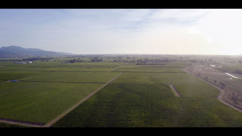 A Seat at the Table still 3