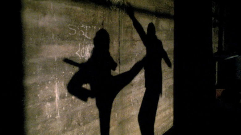 Ninja Cheerleaders still