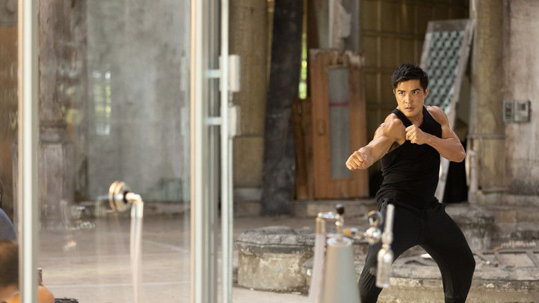 Art of Eight Limbs still