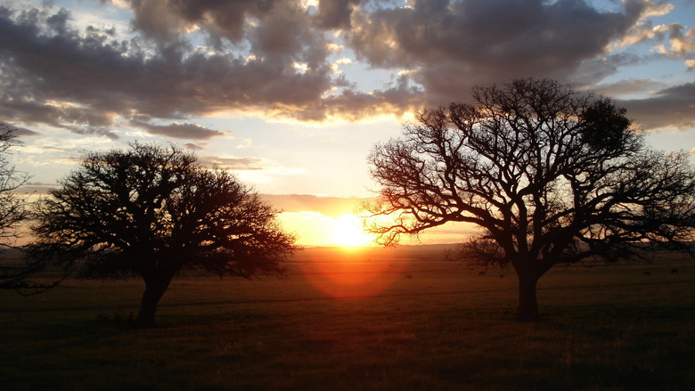 Silent Light still 1