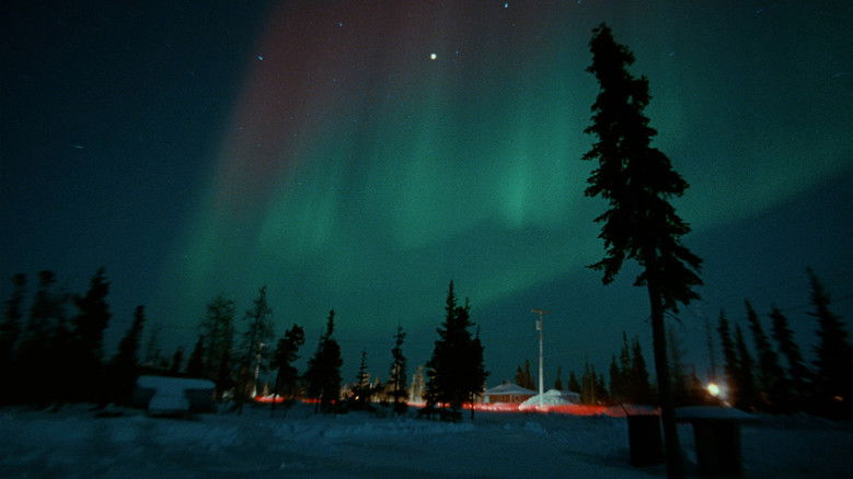 Picture of Light still 1