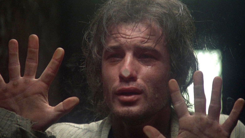 Midnight Express still