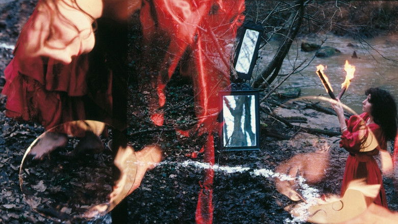 Selva. A Portrait of Parvaneh Navaï still 1