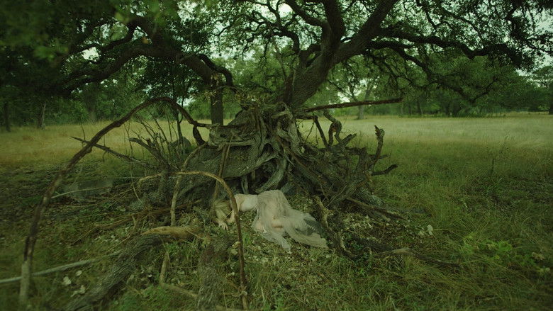 The Blazing World still