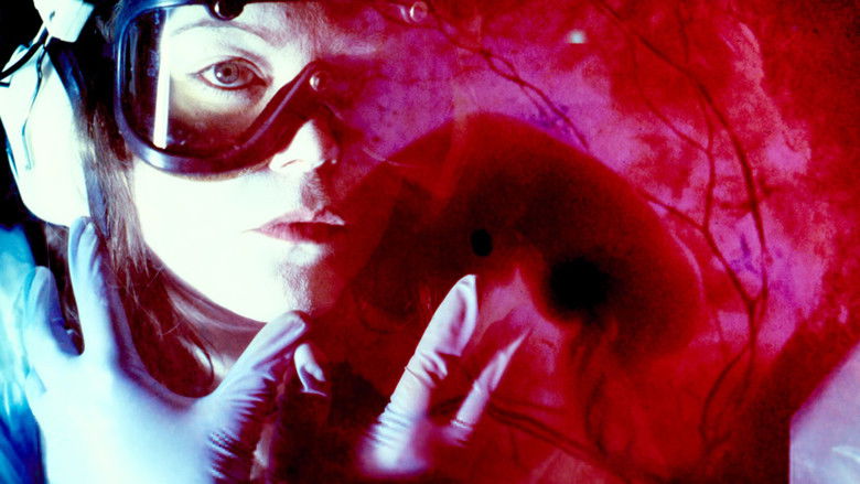 Selva. A Portrait of Parvaneh Navaï still 2