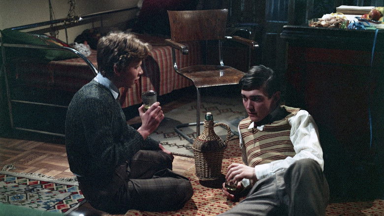 Můj nezdolný lev still 3