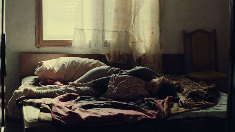 Looking for Venera still