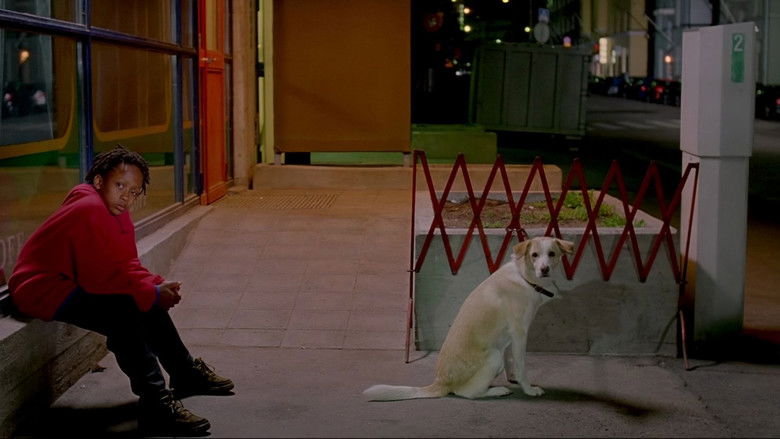 Lights in the Dusk still