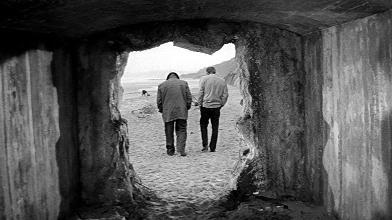 A Monkey in Winter still 2