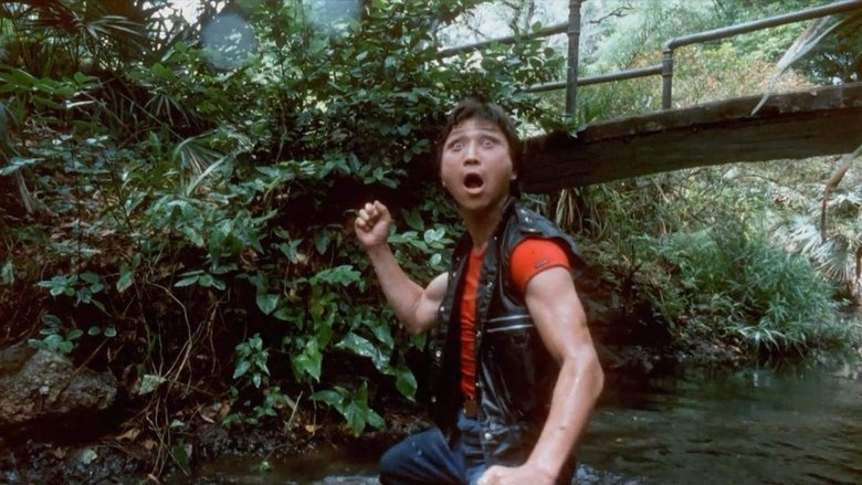 Miami Connection still