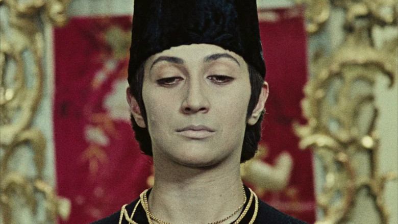 The Color of Pomegranates still