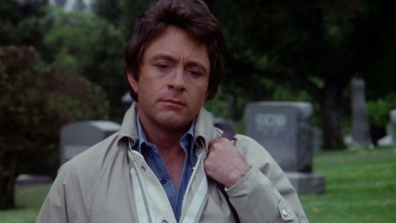 The Incredible Hulk still