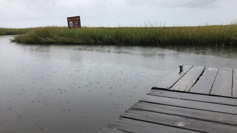 Happy Birthday Hannah still 3