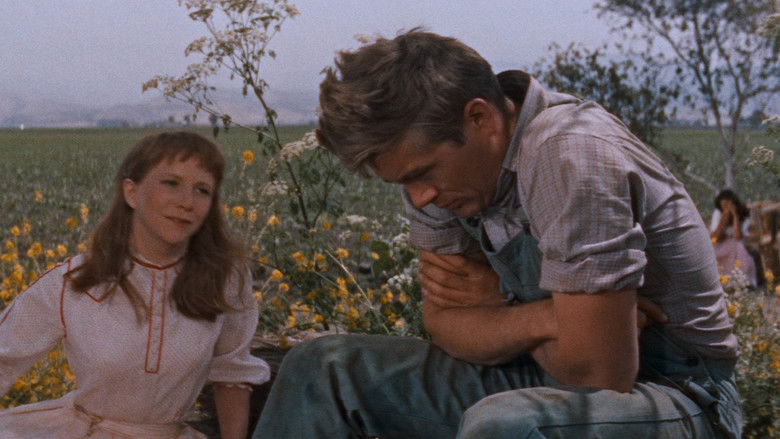 East of Eden still