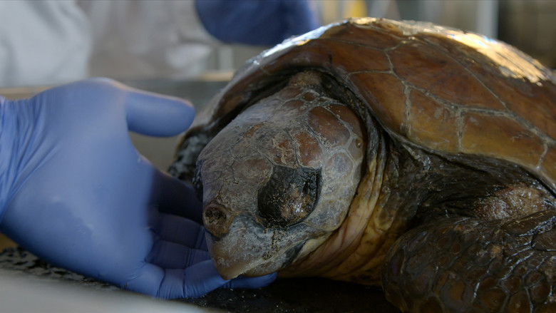 Man Kind Man still 1