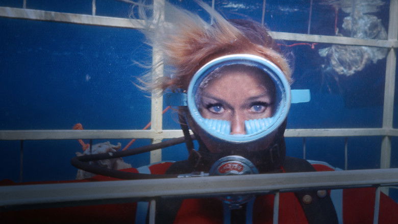 Playing with Sharks still