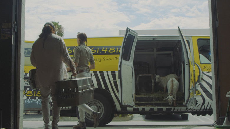 Cool Critter still 3