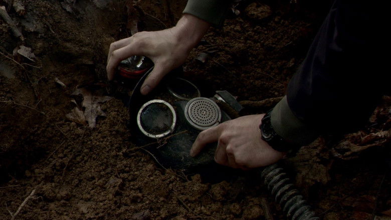 My Bloody Valentine still 3