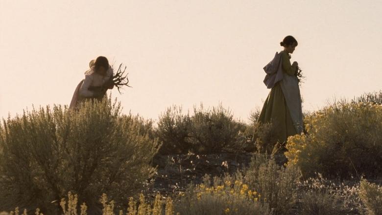 Meek's Cutoff still 1