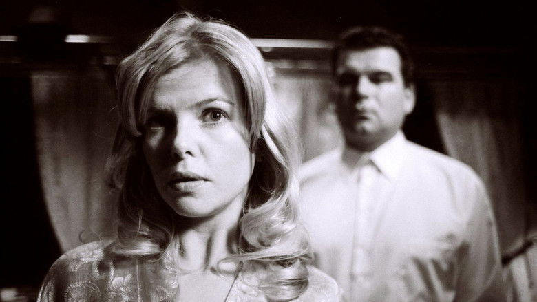 Illusive Tracks still