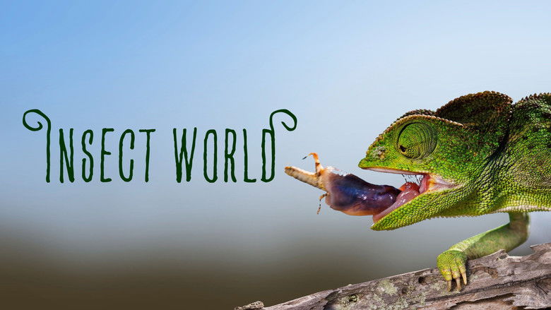 Insect World still