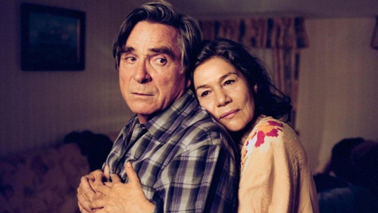 Cherry Blossoms still