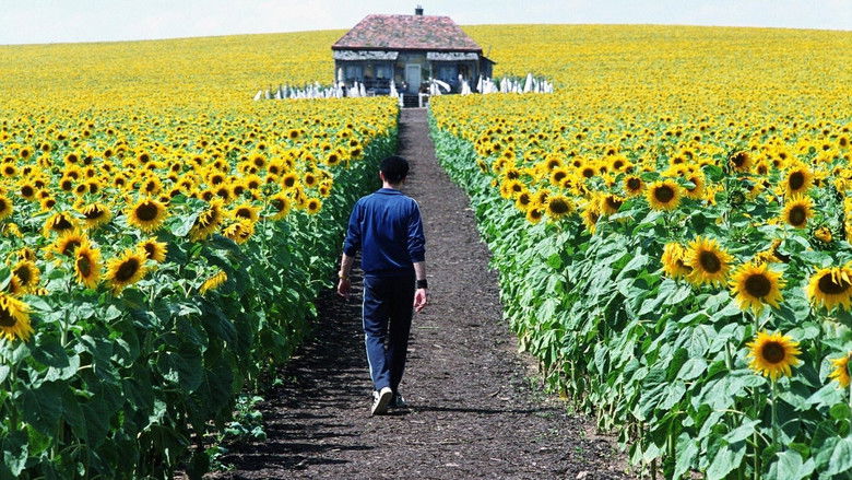 Everything Is Illuminated still 3