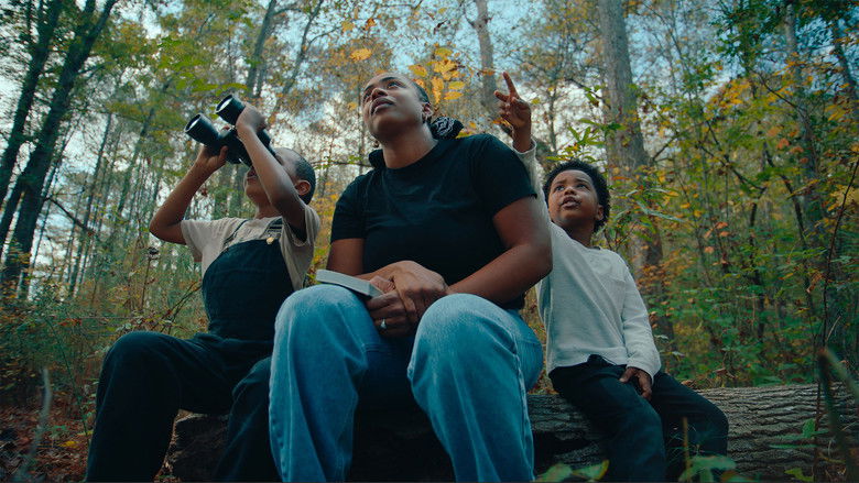 The Boys and the Bees still 2