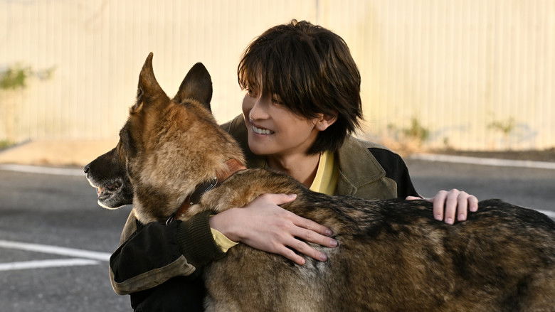 The Boy and the Dog still 3