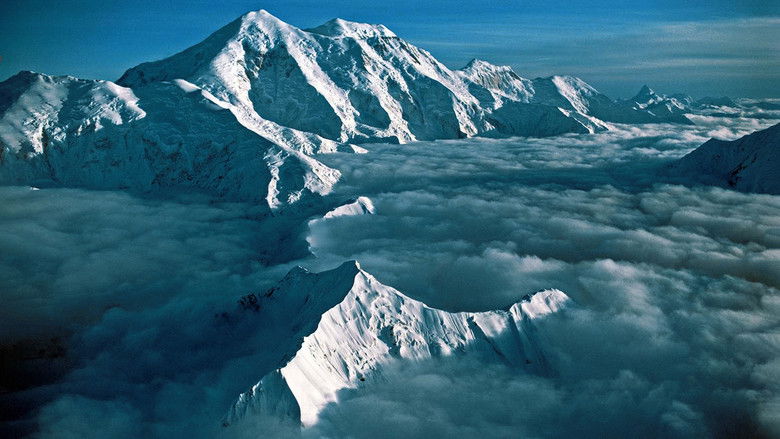 Denali's Wife still 2