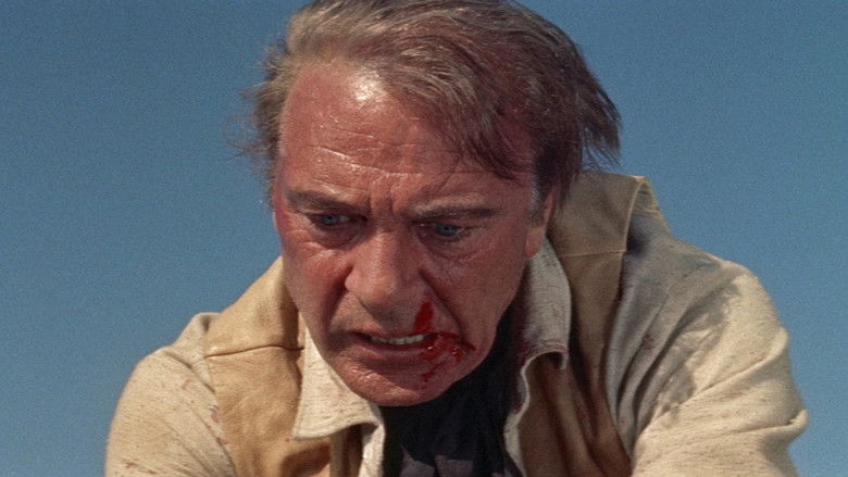 Man of the West still