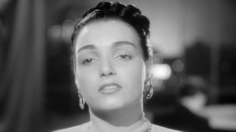 Les lumières de ma ville still