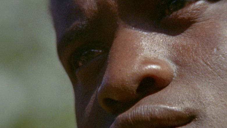 Africa Blood and Guts still