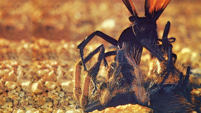 The Living Desert still 1