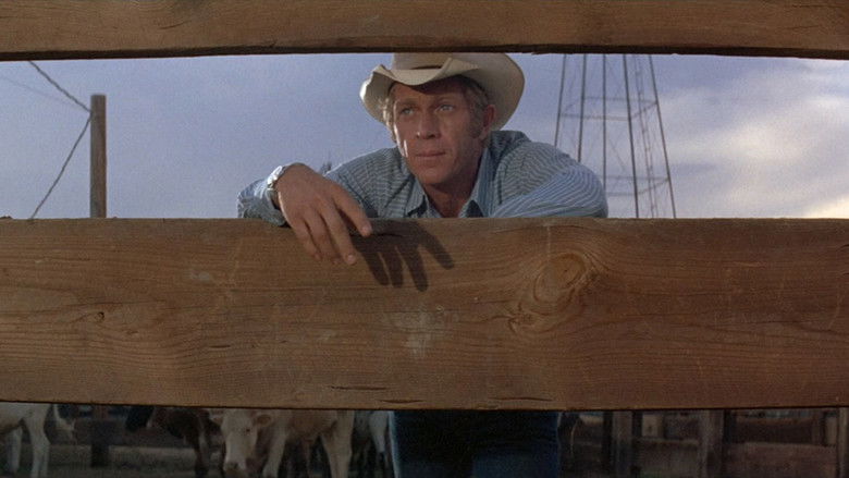 Junior Bonner still 2