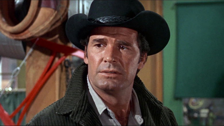 Support Your Local Sheriff! still