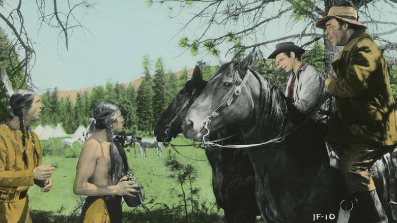 The Indian Fighter still