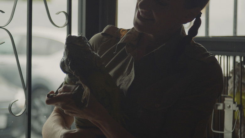 Cool Critter still 1