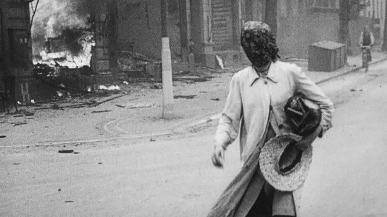 The Natural History of Destruction still