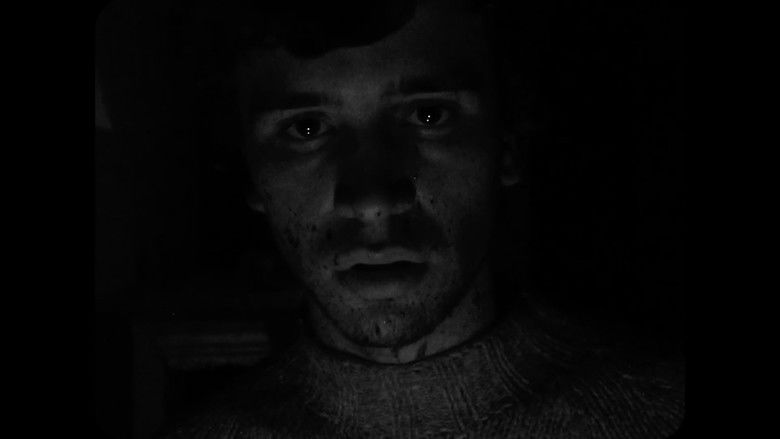 I SHOULD NOT HAVE COME still