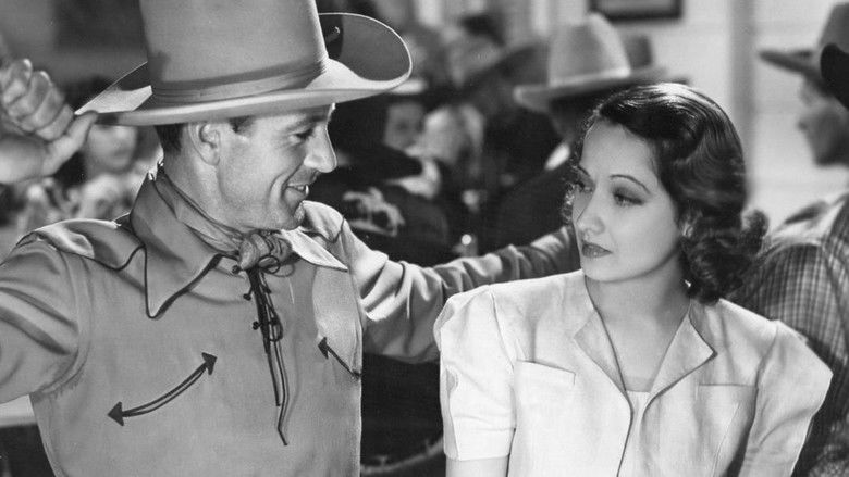 The Cowboy and the Lady still