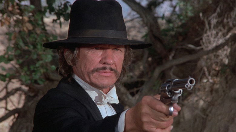 From Noon Till Three still