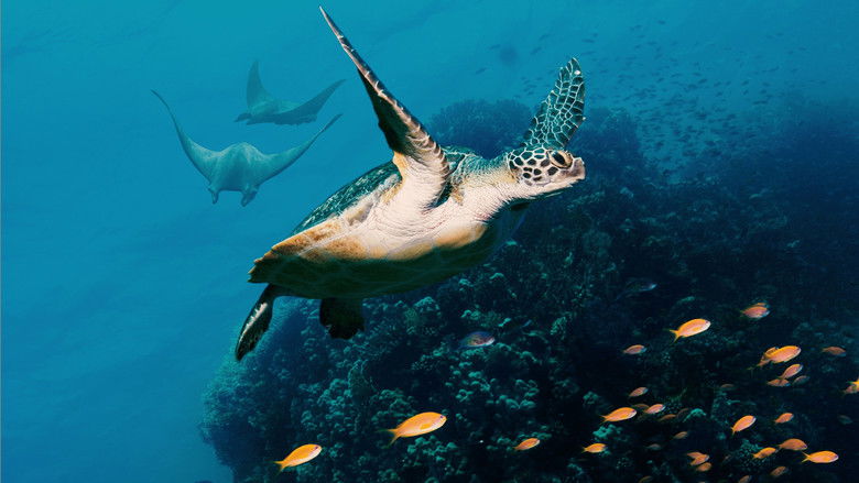 Ocean with David Attenborough still