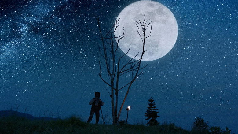 Luz: The Flower of Evil still